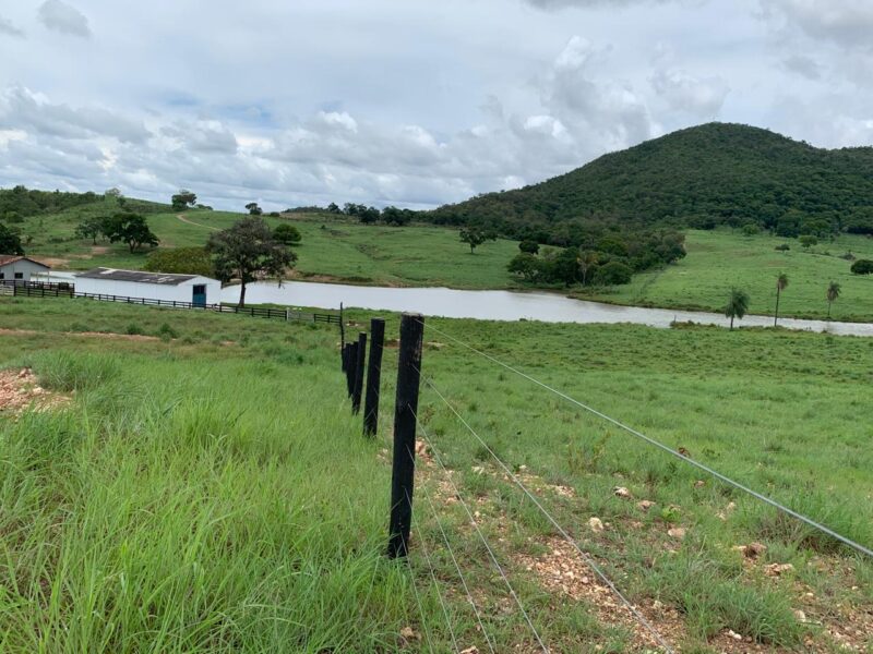 Fazenda 110 alqueires