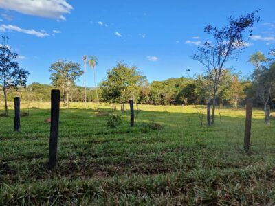 Fazenda