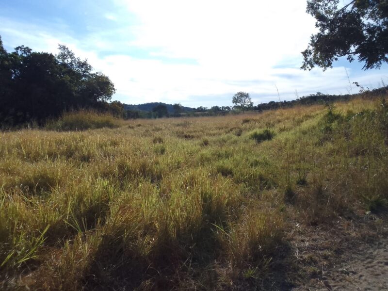 Fazenda