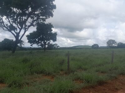 Fazenda